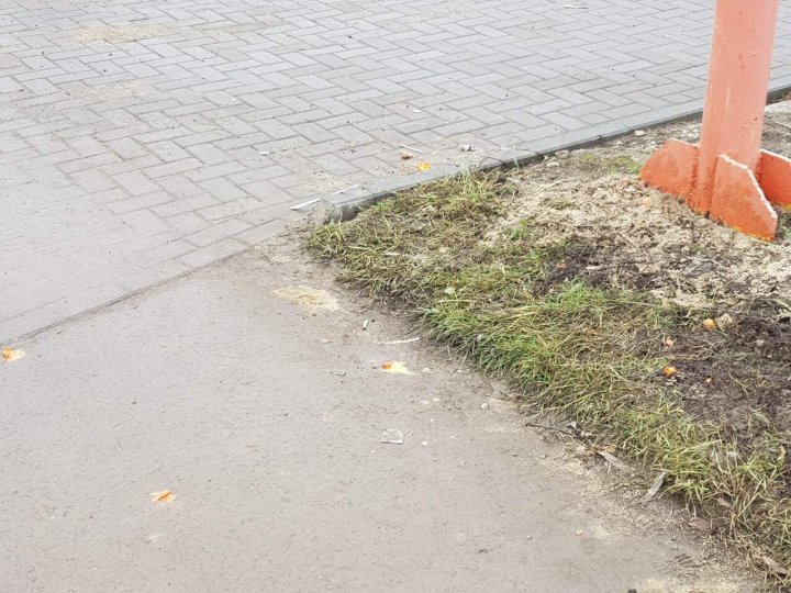 PDM Hânceşti condamnă vandalizarea panourilor electorale ale Partidului Democrat (FOTO)