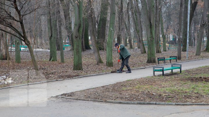 Parcul Alunelul va prinde culoare. Până la Ziua Oraşului din acest an va fi reparat pavajul (FOTOREPORT)