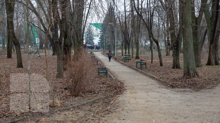 Parcul Alunelul va prinde culoare. Până la Ziua Oraşului din acest an va fi reparat pavajul (FOTOREPORT)