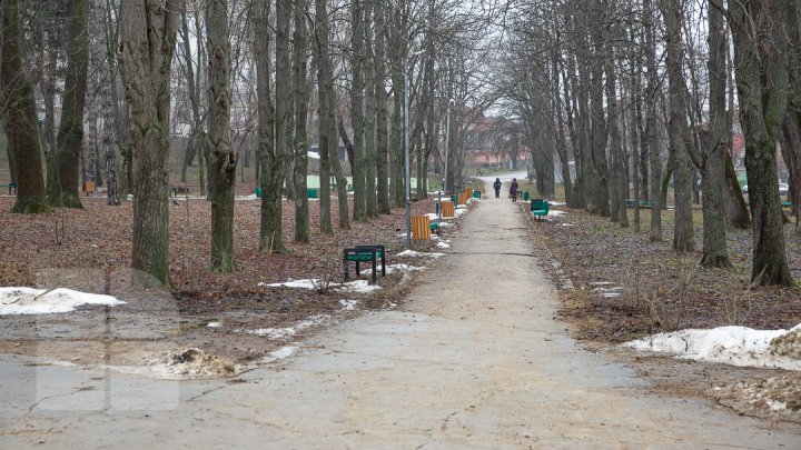 Parcul Alunelul va prinde culoare. Până la Ziua Oraşului din acest an va fi reparat pavajul (FOTOREPORT)