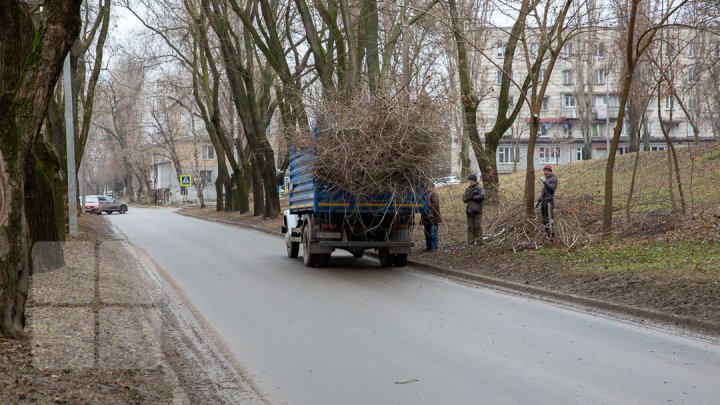 Parcul Alunelul va prinde culoare. Până la Ziua Oraşului din acest an va fi reparat pavajul (FOTOREPORT)