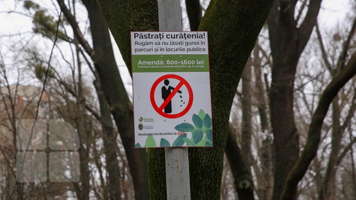 Parcul Alunelul va prinde culoare. Până la Ziua Oraşului din acest an va fi reparat pavajul (FOTOREPORT)