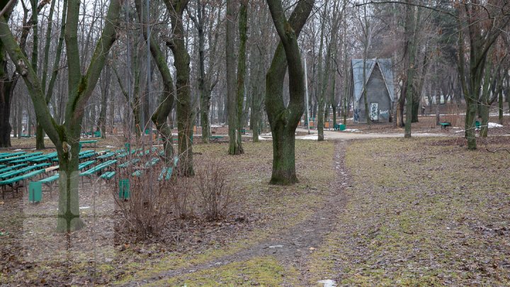 Parcul Alunelul va prinde culoare. Până la Ziua Oraşului din acest an va fi reparat pavajul (FOTOREPORT)