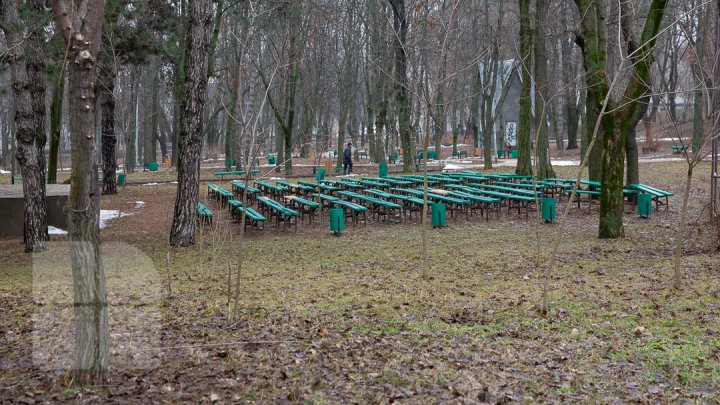 Parcul Alunelul va prinde culoare. Până la Ziua Oraşului din acest an va fi reparat pavajul (FOTOREPORT)