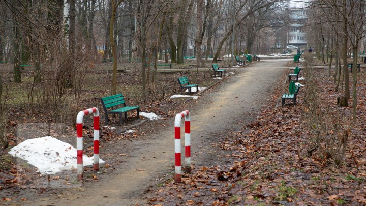 Parcul Alunelul va prinde culoare. Până la Ziua Oraşului din acest an va fi reparat pavajul (FOTOREPORT)