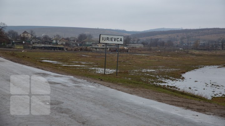 Sute de peşti morţi în satul Iurievca, raionul Cimişlia