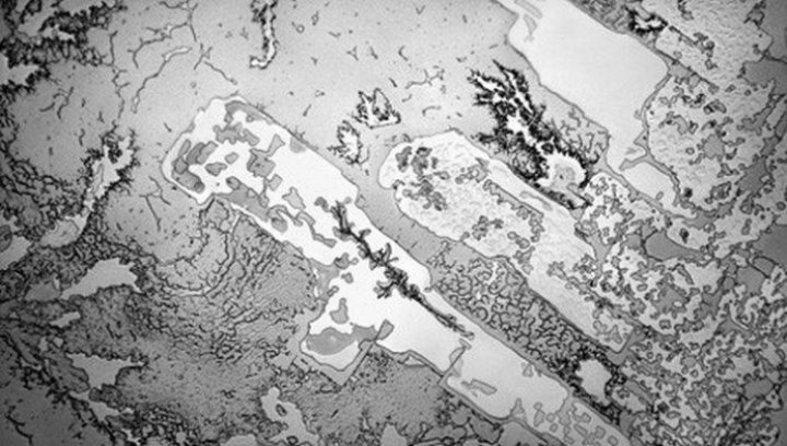 Cum arată lacrimile la microscop și ce spun despre noi