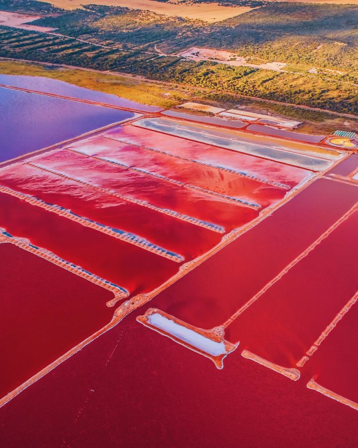 IMAGINI ULUITOARE cu lacul roz care îi fascinează pe turiștii din toată lumea