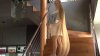 Rapunzel din Ucraina. O fată de 15 ani are părul lung de doi metri şi 35 de centimetri (VIDEO)