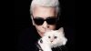 RIP Daddy. Pisica regretatului designer Karl Lagerfeld lansează o colecţie de haine şi accesorii