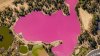Un lac și-a schimbat culoarea într-un roz intens (POZE SPECTACULOASE)