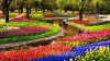 Parcul Keukenhof din Olanda, cel mai impresionant paradis al lalelelor din lume