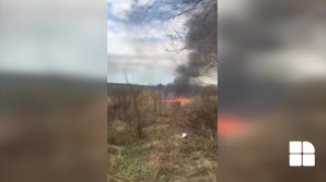 Incendiu de vegetaţie în zona gării de sud din Capitală (VIDEO)