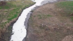 Deşeuri care curg în Nistru. S-a stabilit provenienţa lichidului alb care afectează râul (VIDEO)