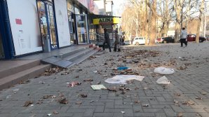 Vânt puternic în Capitală, cu acoperişuri smulse, copaci rupţi și mașini avariate