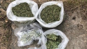 Trei indivizi din Capitală, reținuți pentru trafic de droguri. Ce pedeapsă riscă