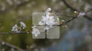 VREMEA SE ÎNCĂLZEȘTE! Vom avea temperaturi de până la 20 de grade Celsius