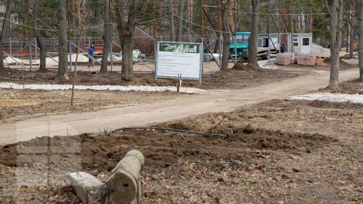 Parcul Valea Trandafirilor va fi modernizat. Lucrările de renovare sunt în toi (FOTOREPORT)