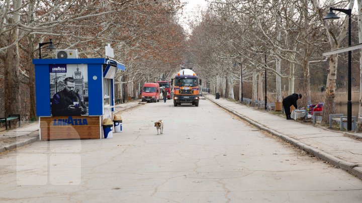 Parcul Valea Trandafirilor va fi modernizat. Lucrările de renovare sunt în toi (FOTOREPORT)