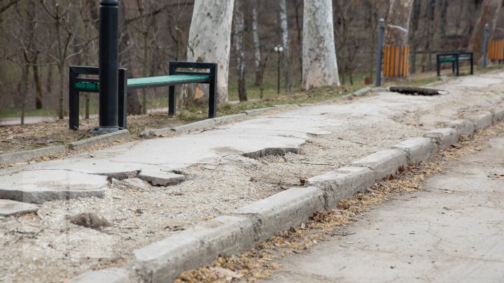 Parcul Valea Trandafirilor va fi modernizat. Lucrările de renovare sunt în toi (FOTOREPORT)