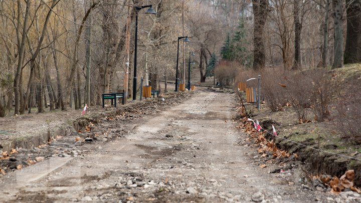 Parcul Valea Trandafirilor va fi modernizat. Lucrările de renovare sunt în toi (FOTOREPORT)