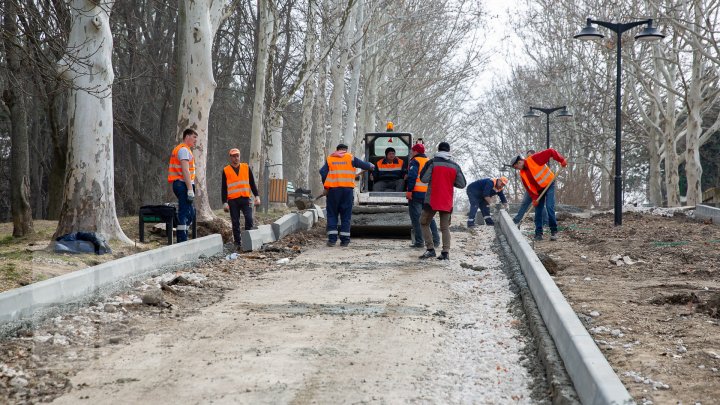 Parcul Valea Trandafirilor va fi modernizat. Lucrările de renovare sunt în toi (FOTOREPORT)