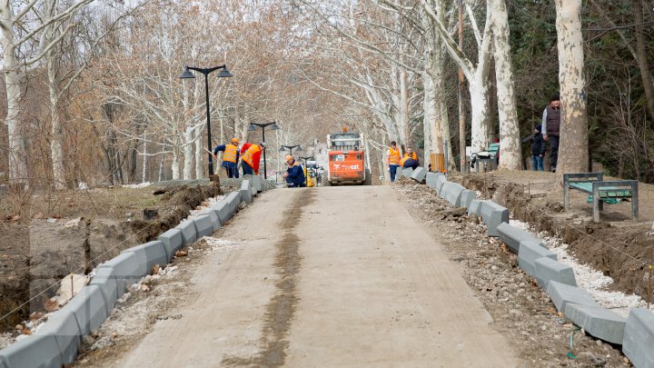 Parcul Valea Trandafirilor va fi modernizat. Lucrările de renovare sunt în toi (FOTOREPORT)