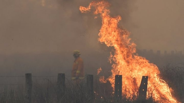 INCENDIU INFERNAL în Australia. Peste DOUĂ MII de pompieri s-au luptat cu flăcările devastatoare (VIDEO)