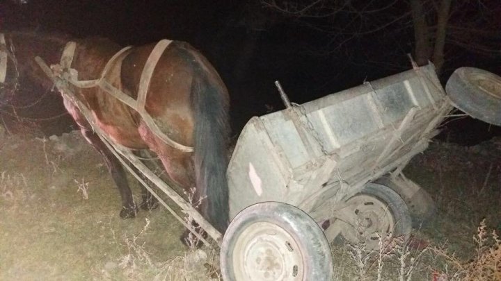 CUTREMURĂTOR! Un copil de doi ani a ajuns la spital, după ce căruţa condusă de mama lui beată s-a răsturnat