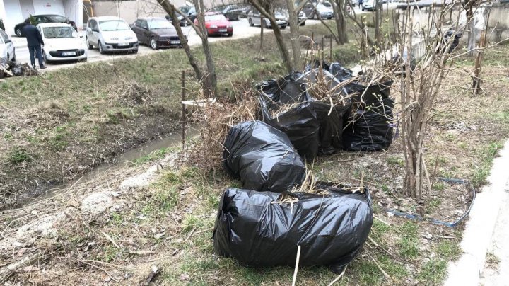 Curăţenie de primăvară în Capitală. Șase mii de saci cu gunoi au fost adunaţi de pe malurile râurilor (FOTO)