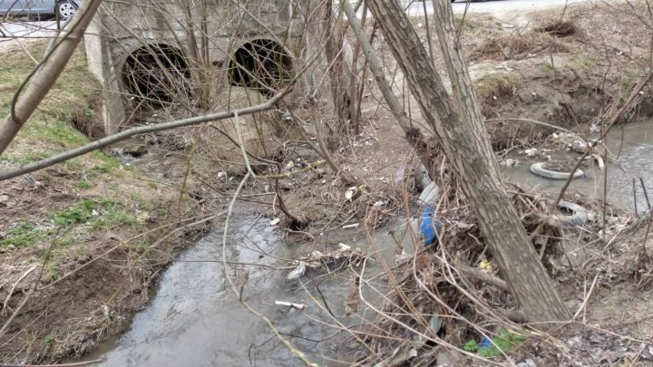 Curăţenie de primăvară în Capitală. Șase mii de saci cu gunoi au fost adunaţi de pe malurile râurilor (FOTO)