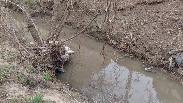 Curăţenie de primăvară în Capitală. Șase mii de saci cu gunoi au fost adunaţi de pe malurile râurilor (FOTO)