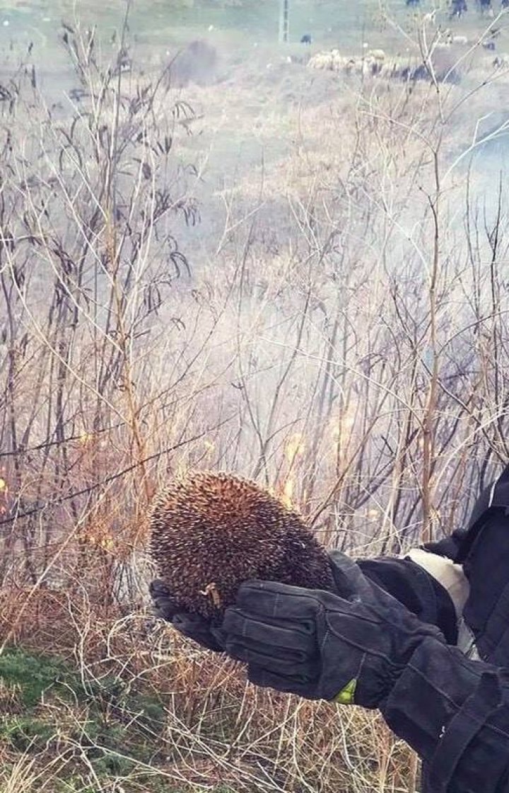 MOLDOVA ARDE. În ultimele 24 de ore, pompierii au stins 98 de INCENDII (FOTO)