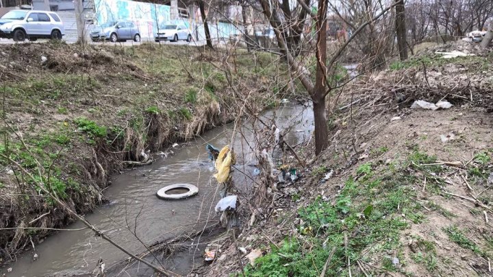 Curăţenie de primăvară în Capitală. Șase mii de saci cu gunoi au fost adunaţi de pe malurile râurilor (FOTO)