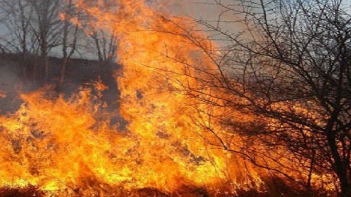 INCENDIU DE PROPORŢII! Flăcările au MISTUIT 28 de hectare de teren în Taraclia