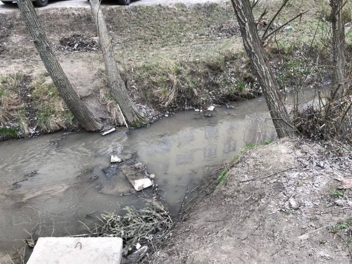 A început MAREA CURĂŢENIE în sectorul Buiucani. Oamenii sunt aşteptaţi la salubrizarea râului Durleşti (VIDEO/FOTO)