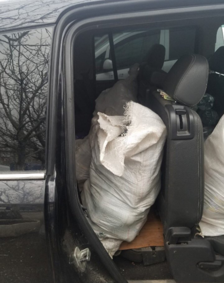 Businessul a doi moldoveni, dat peste cap de poliţiştii din Bălţi (FOTO)