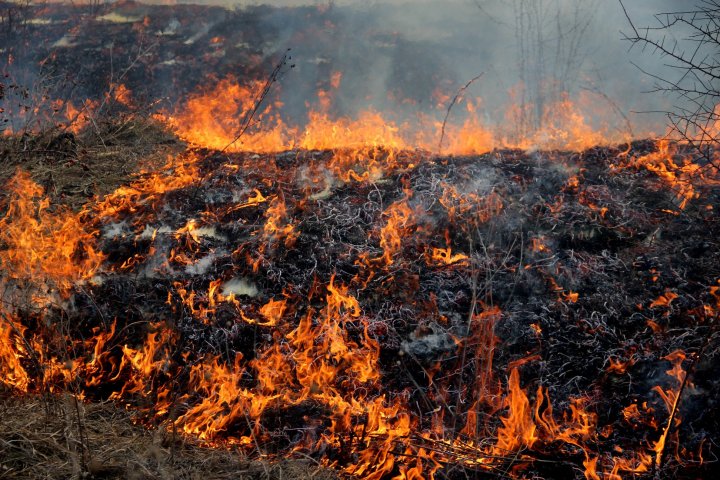 Moldova, cuprinsă de FLĂCĂRI! Peste 1.102 hectare de vegetaţie au ars timp de 24 de ore