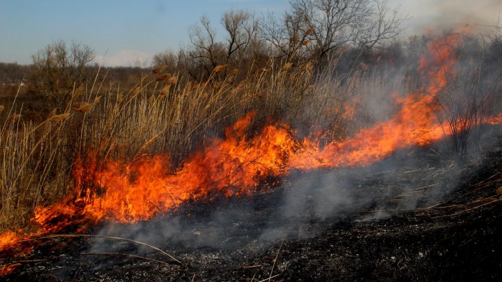 Moldova, cuprinsă de FLĂCĂRI! Peste 1.102 hectare de vegetaţie au ars timp de 24 de ore