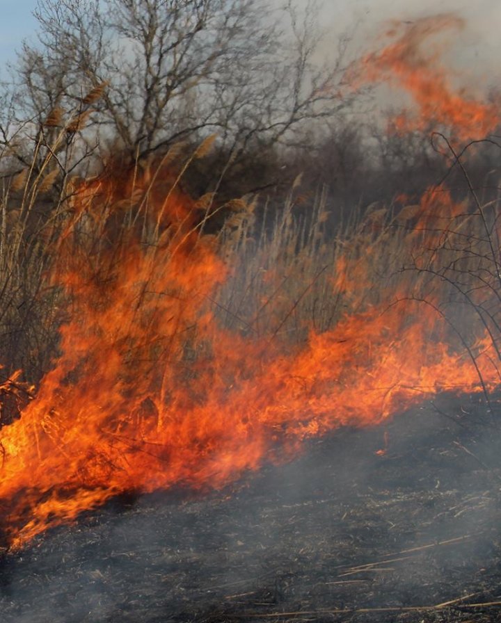 Moldova, cuprinsă de FLĂCĂRI! Peste 1.102 hectare de vegetaţie au ars timp de 24 de ore