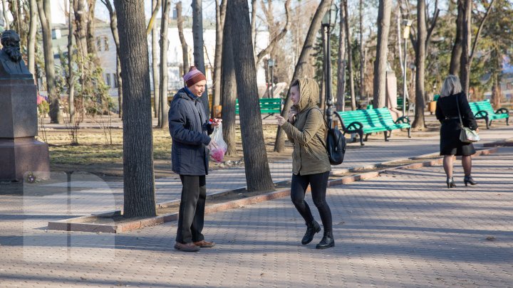 Mărţişoare confecţionate manual de angajaţii Muzeului Naţional de Etnografie, în dar pentru oamenii care s-au plimbat prin parcul central al Capitalei (FOTOREPORT)