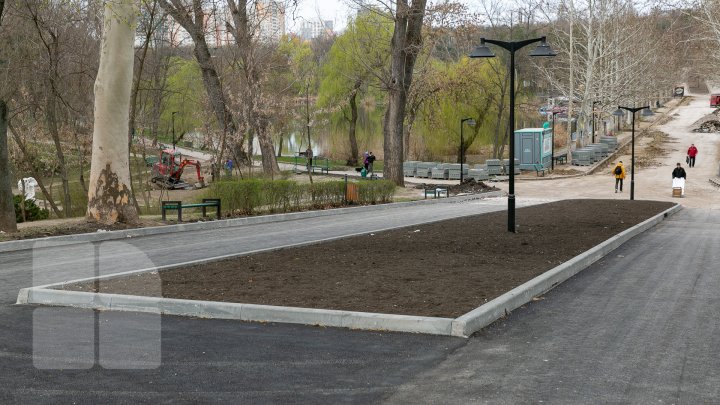 Parcul Valea Trandafirilor PRINDE CULOARE. Vezi cum arată acum (FOTOREPORT)