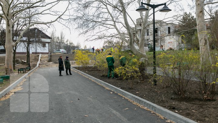 Parcul Valea Trandafirilor PRINDE CULOARE. Vezi cum arată acum (FOTOREPORT)