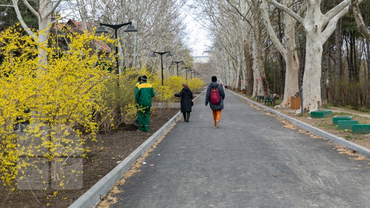 Parcul Valea Trandafirilor PRINDE CULOARE. Vezi cum arată acum (FOTOREPORT)