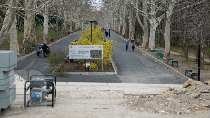 Parcul Valea Trandafirilor PRINDE CULOARE. Vezi cum arată acum (FOTOREPORT)