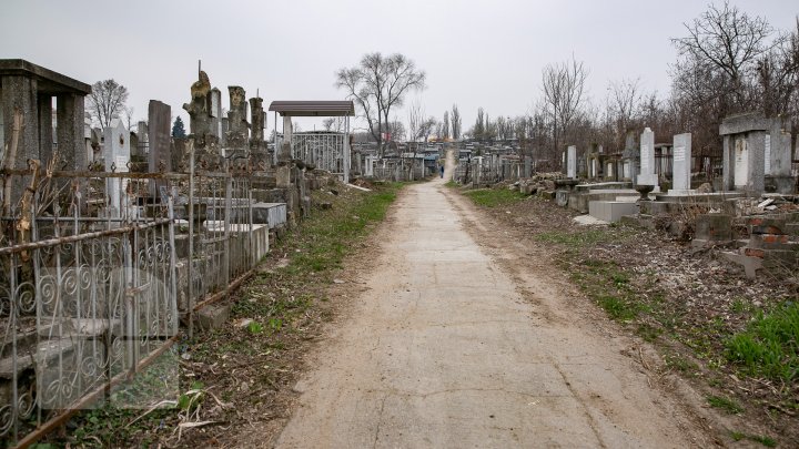 PREGĂTIT PENTRU RESTAURARE. 10 milioane de lei, alocate pentru Cimitirul Evreiesc (FOTOREPORT)