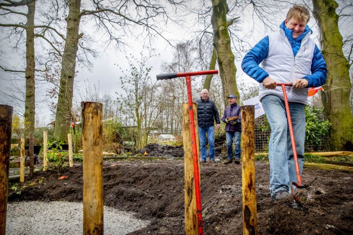 Regele Olandei a celebrat Ziua Naţională a Voluntariatului printr-o acţiune de CURĂŢENIE într-o grădină zoologică 