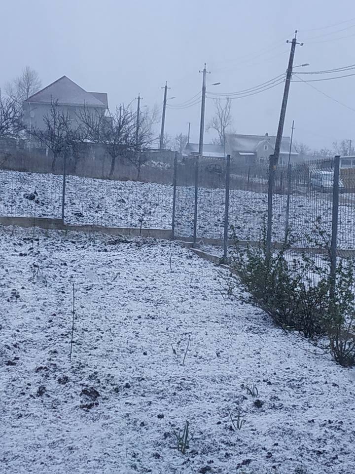 Baba Dochia îşi scutură cojoacele! În Capitală, dar şi în alte localităţi A NINS (VIDEO/FOTO)