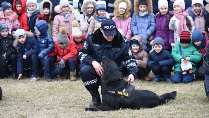 AVENTURĂ NEOBIŞNUITĂ pentru zeci de copii de la o grădiniţă din Capitală. Au văzut ce știe să facă un câine poliţist (FOTO)