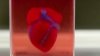 În PREMIERĂ, cercetătorii au printat în 3D o inimă în miniatură folosind țesut uman